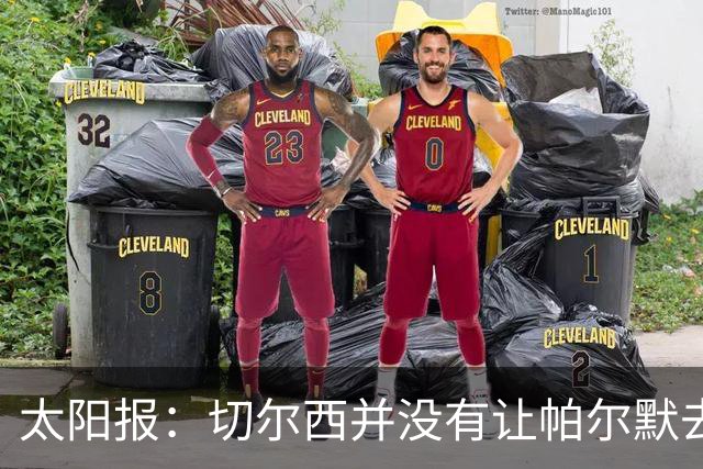 太阳报：切尔西并没有让帕尔默去游说罗杰斯，但两人感情很好