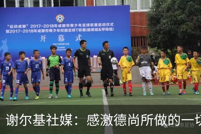 谢尔基社媒：感激德尚所做的一切，我们要让法国以更强姿态回归