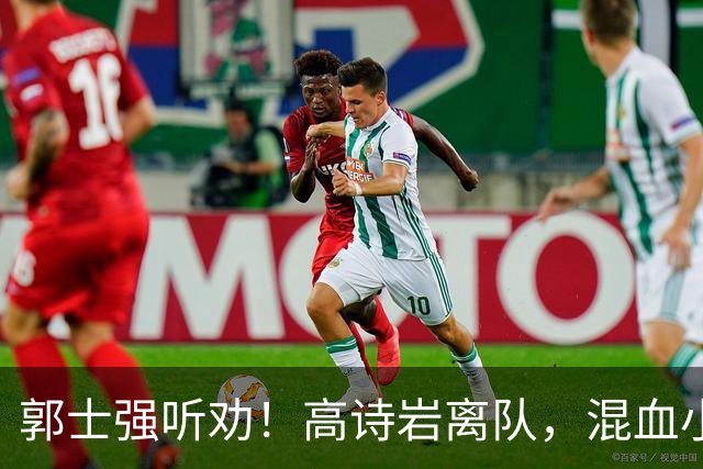 郭士强听劝！高诗岩离队，混血小将离队，增补胡明轩，中国男篮告别高诗岩时代！